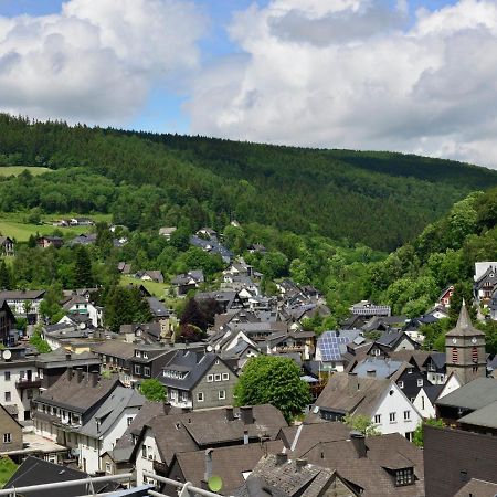 Beautiful Apartment In Willingen With Balcony Eksteriør bilde